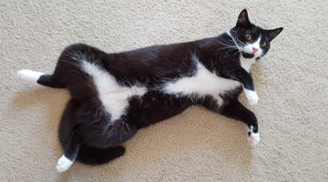 Luca – Young Female