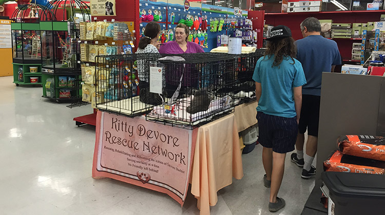 petco adoption saturday
