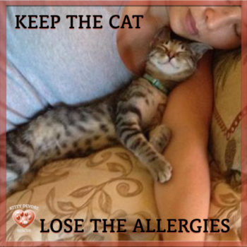 Keep The Cat Lose The Allergies Kitty Devore Rescue