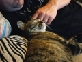 rubie3