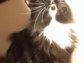 whiskleigh1
