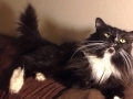 whiskleigh3