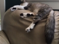 beau4