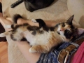 candi-mcfluff3.jpg