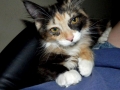 candi-mcfluff4.jpg