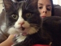 cece6