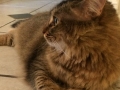 deidra4