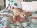 Eldredge (Furgus) 19