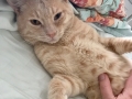 Eldredge (Furgus) 21