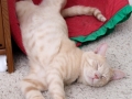 Eldredge (Furgus) 24