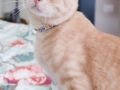Eldredge (Furgus) 27