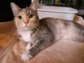harriet1