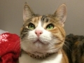 kiley4