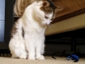 lawna2.jpg