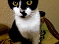 mayla1