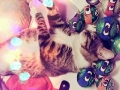 mitter1.jpg