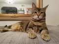 sally1