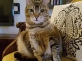 sally5
