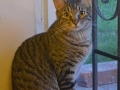 slinky1.jpg