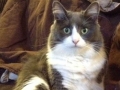 sooty1