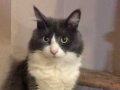 sooty2