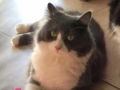 sooty3