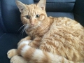 timmie1