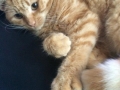 timmie2