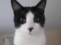 tuffy1
