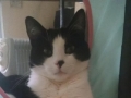 tuffy3