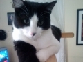 tuffy5
