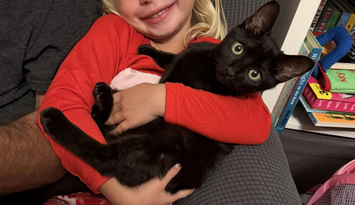 Kylo Ren – Young Male